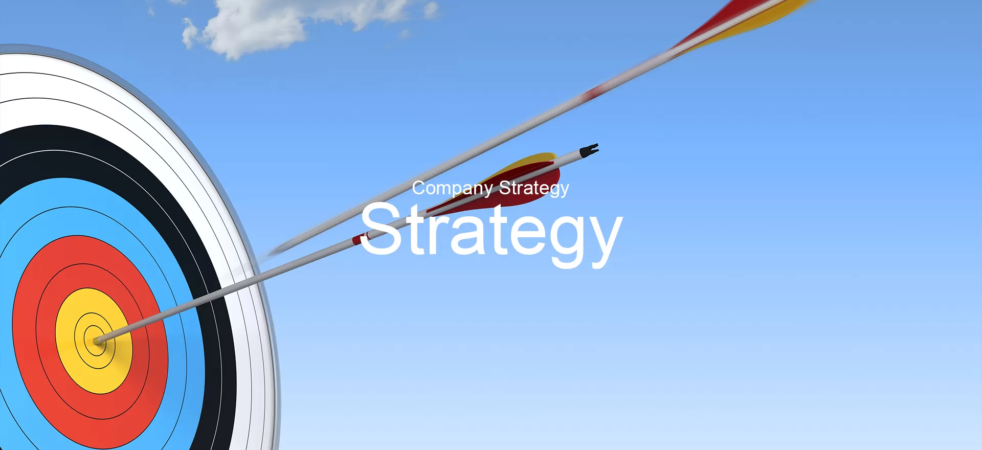 Company Strategy
